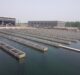 LiqTech partners Razorback Direct for commercialisation of water treatment solution