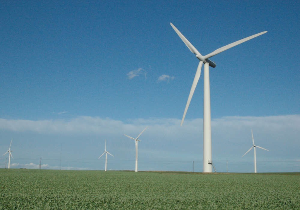 Wind industry urges G20 countries to ‘get real’ on renewables